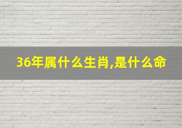 36年属什么生肖,是什么命