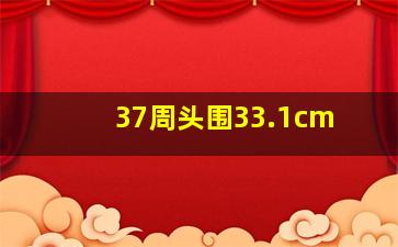 37周头围33.1cm