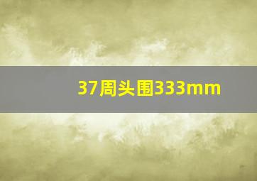 37周头围333mm