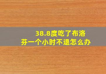 38.8度吃了布洛芬一个小时不退怎么办