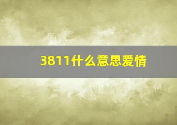 3811什么意思爱情