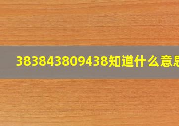 383843809438知道什么意思吗