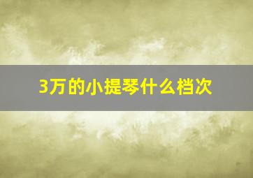 3万的小提琴什么档次