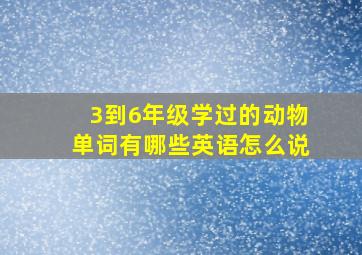 3到6年级学过的动物单词有哪些英语怎么说