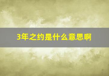 3年之约是什么意思啊