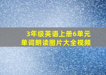 3年级英语上册6单元单词朗读图片大全视频