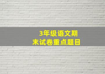 3年级语文期末试卷重点题目