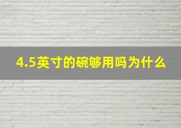 4.5英寸的碗够用吗为什么