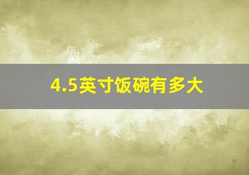 4.5英寸饭碗有多大