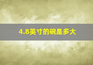 4.8英寸的碗是多大