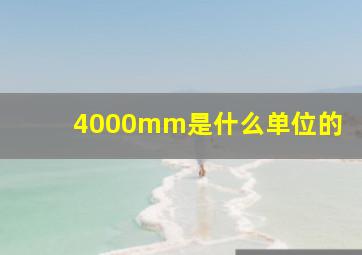 4000mm是什么单位的