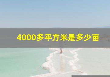 4000多平方米是多少亩