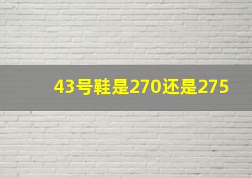 43号鞋是270还是275