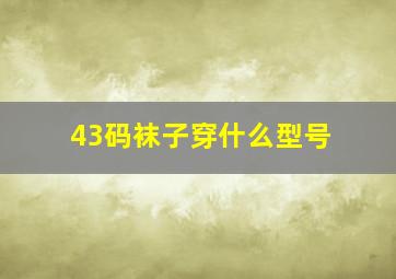 43码袜子穿什么型号