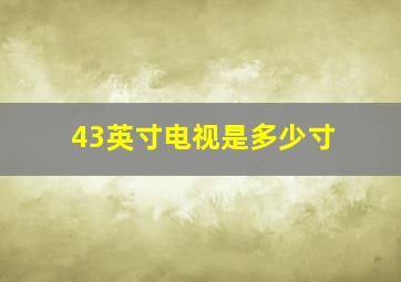 43英寸电视是多少寸