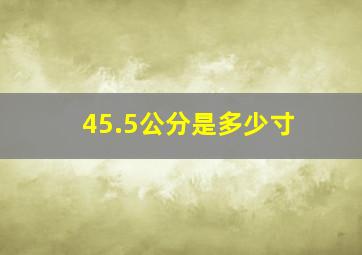 45.5公分是多少寸