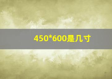 450*600是几寸