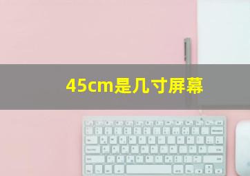 45cm是几寸屏幕