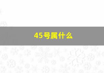 45号属什么