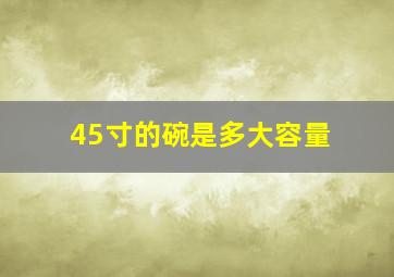 45寸的碗是多大容量