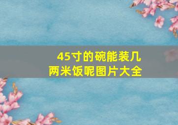 45寸的碗能装几两米饭呢图片大全