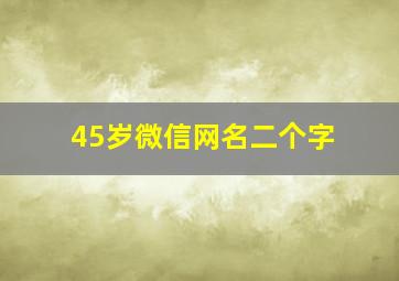 45岁微信网名二个字