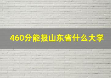 460分能报山东省什么大学