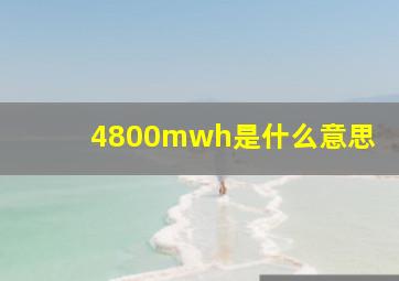 4800mwh是什么意思