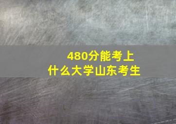 480分能考上什么大学山东考生