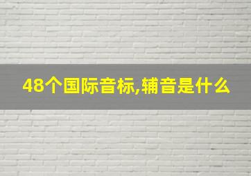 48个国际音标,辅音是什么