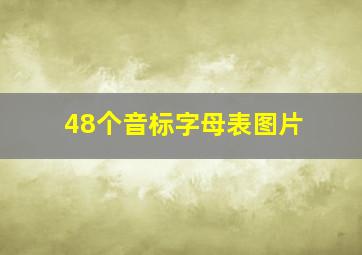 48个音标字母表图片