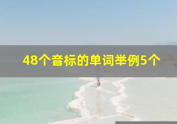 48个音标的单词举例5个