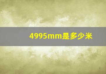 4995mm是多少米