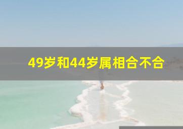 49岁和44岁属相合不合