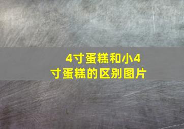 4寸蛋糕和小4寸蛋糕的区别图片