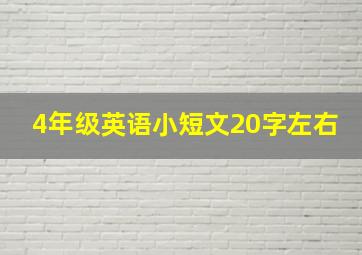 4年级英语小短文20字左右