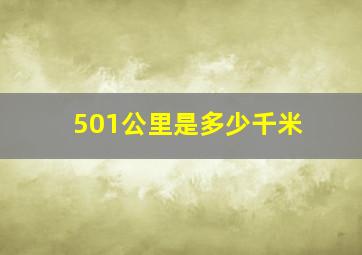 501公里是多少千米