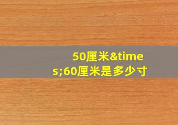 50厘米×60厘米是多少寸