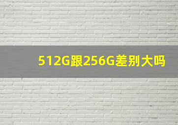 512G跟256G差别大吗