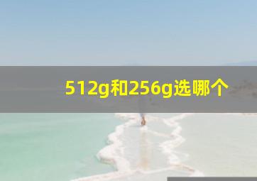 512g和256g选哪个