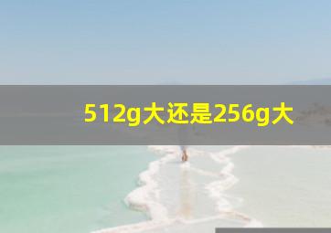 512g大还是256g大