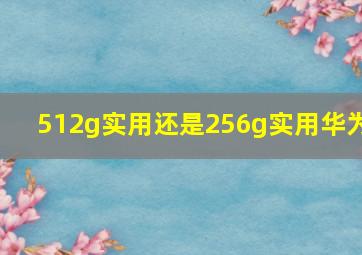 512g实用还是256g实用华为