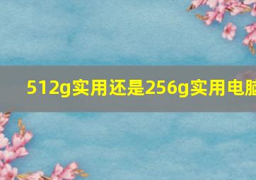 512g实用还是256g实用电脑