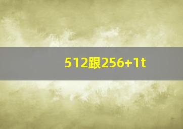 512跟256+1t