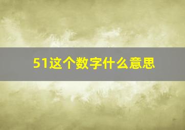 51这个数字什么意思