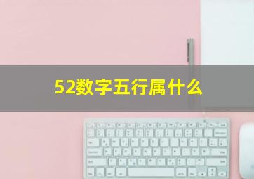 52数字五行属什么