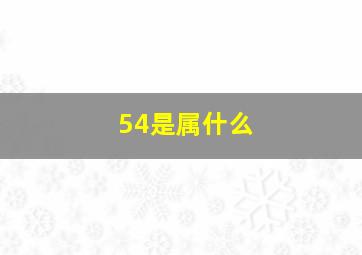 54是属什么