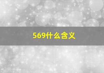 569什么含义