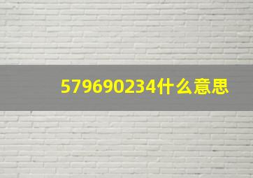 579690234什么意思