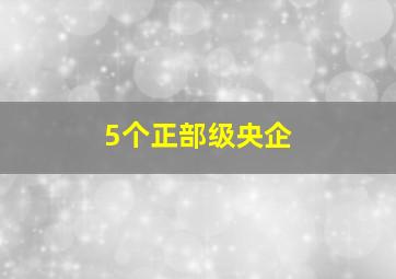 5个正部级央企